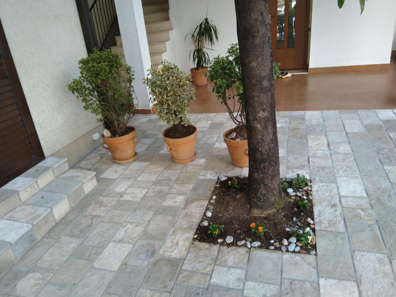 Studio Apartments 6 Palmi Budva Buitenkant foto